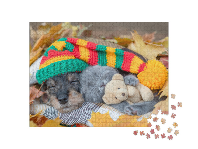 Dachshund Puppy Wearing Warm Hat & Kitten Hugging Toy Bea... Jigsaw Puzzle with 1000 pieces