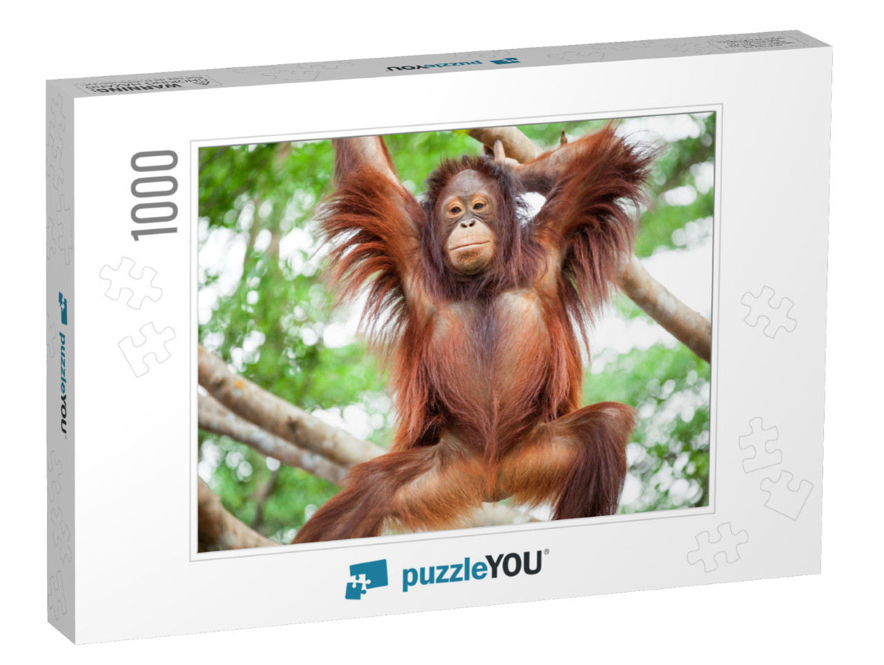 Orangutan Cute... Jigsaw Puzzle with 1000 pieces