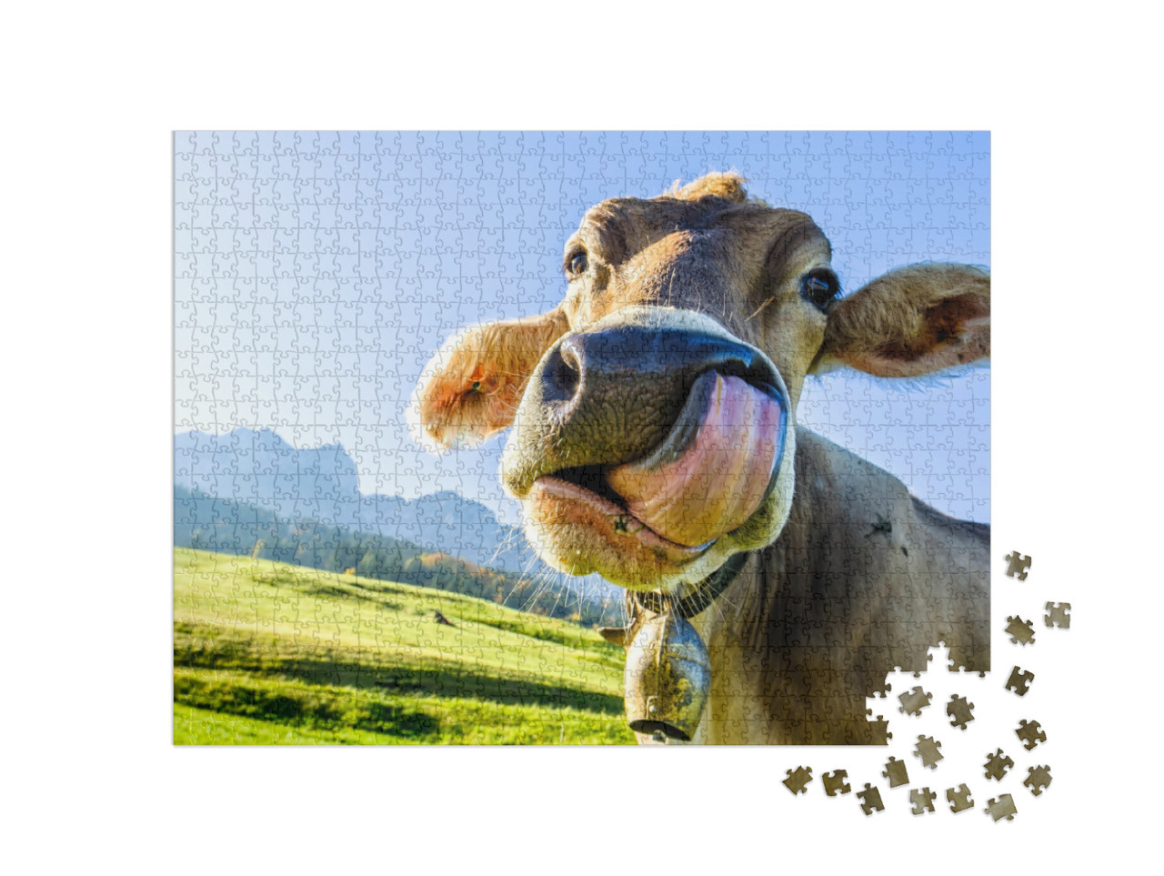 Funny Cow At the Kaisergebirge Mountain... Jigsaw Puzzle with 1000 pieces