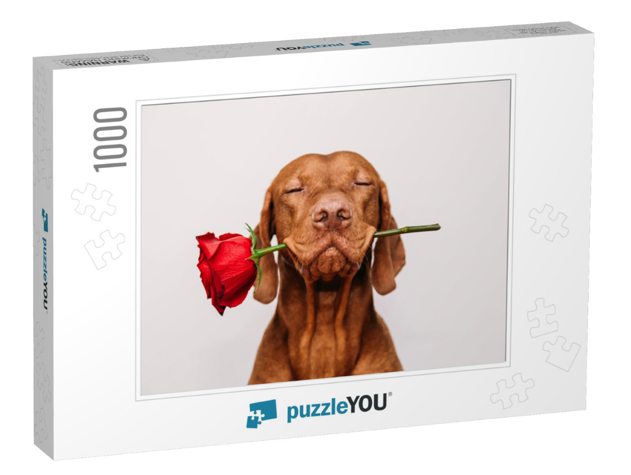 Charming Red-Haired Vizsla Dog with Eyes Closed Ho... Jigsaw Puzzle with 1000 pieces