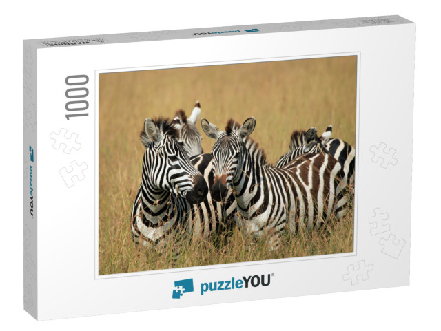 Plains Zebras Equus Quagga in High Grass on Savannah. Maa... Jigsaw Puzzle with 1000 pieces