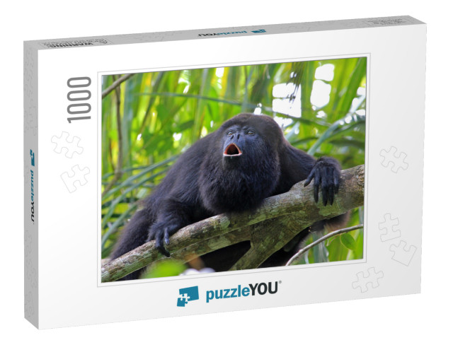 Black or Guatemalan Howler Monkey, Alouatta Pigra or Cara... Jigsaw Puzzle with 1000 pieces