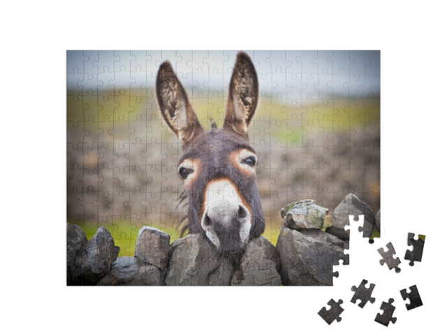 A Nice Donkey Under the Rain. Aran Islands, Ireland... Jigsaw Puzzle with 200 pieces