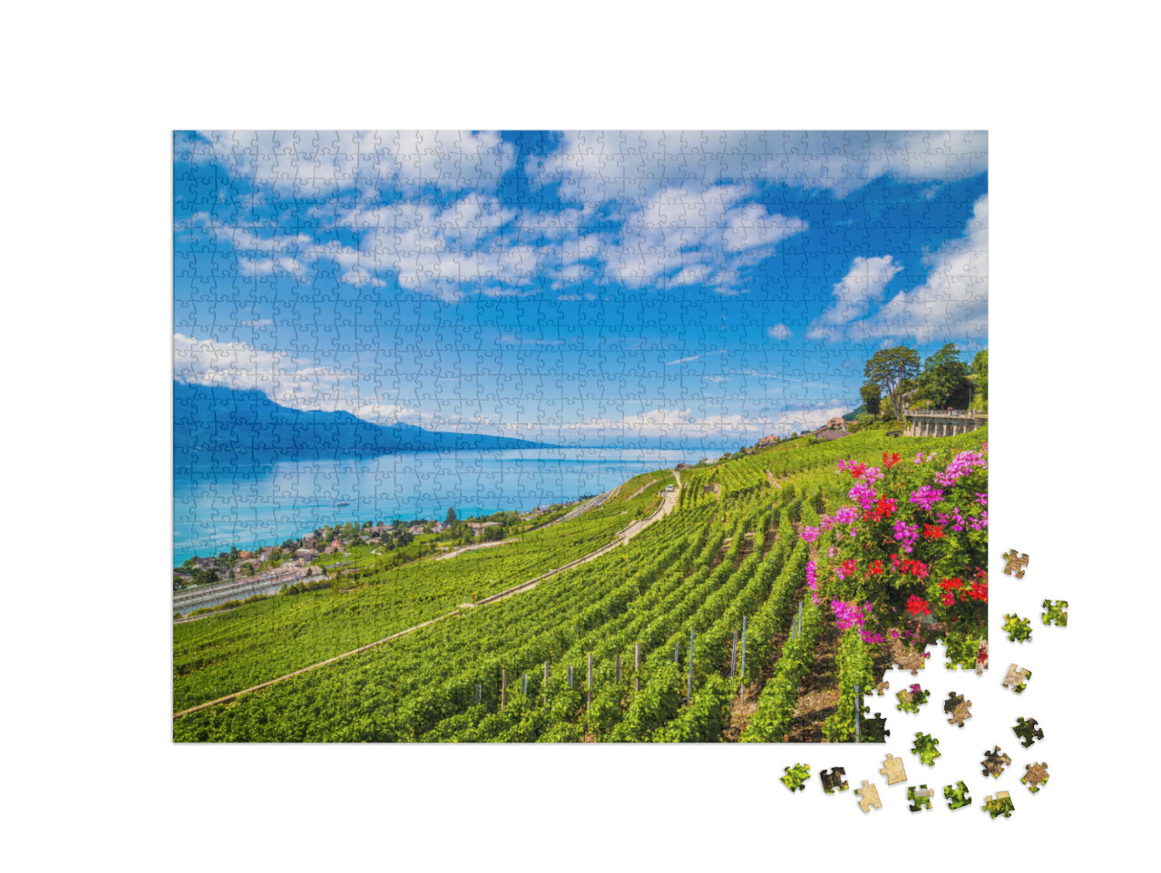 Beautiful Scenery with Rows of Vineyard Terraces in Famou... Jigsaw Puzzle with 1000 pieces