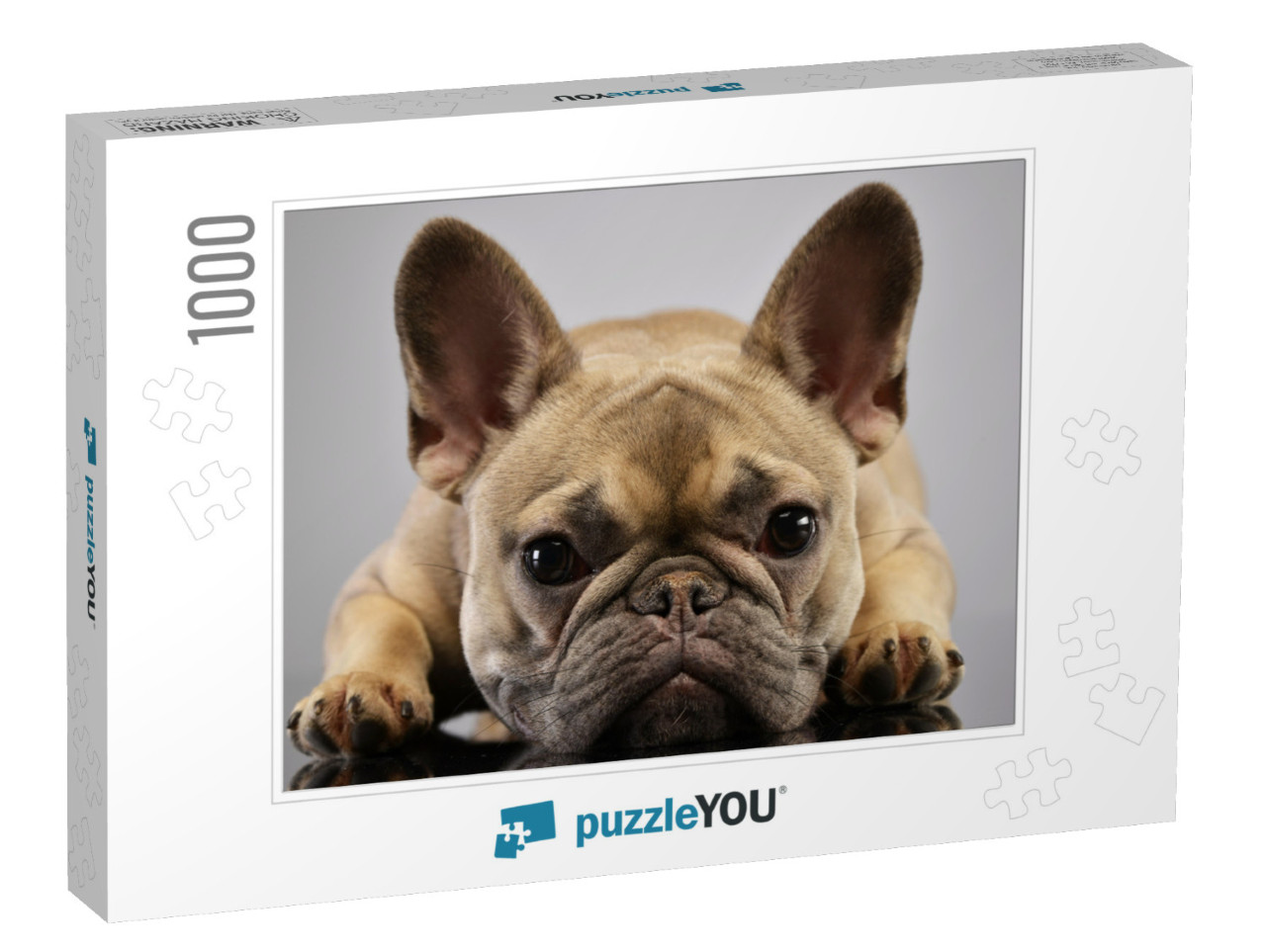 Portrait of an Adorable French Bulldog, Studio Shot, Isol... Jigsaw Puzzle with 1000 pieces