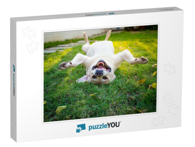 Overturn Labrador Retriever... Jigsaw Puzzle