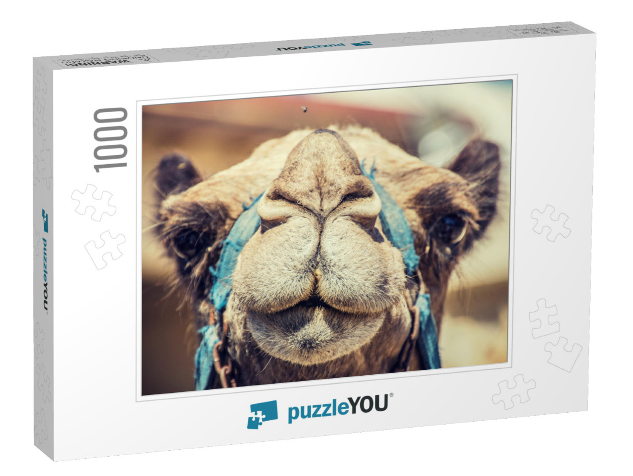 Camels Muzzle Just a Camel Looking Straight Into My Camer... Jigsaw Puzzle with 1000 pieces