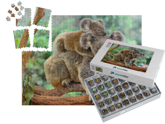 Mother Koala with Baby on Her Back, on Eucalyptus Tree... | SMART SORTED® | Jigsaw Puzzle with 1000 pieces