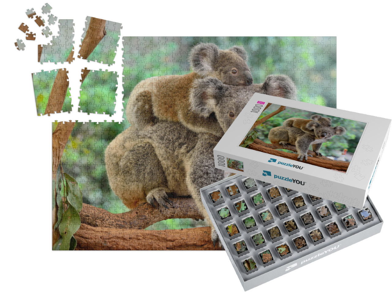 Mother Koala with Baby on Her Back, on Eucalyptus Tree... | SMART SORTED® | Jigsaw Puzzle with 1000 pieces