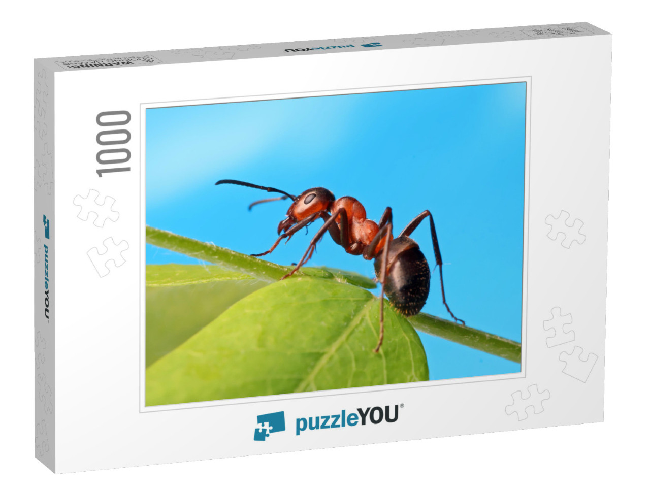 Ant Resting on the Grass... Jigsaw Puzzle with 1000 pieces