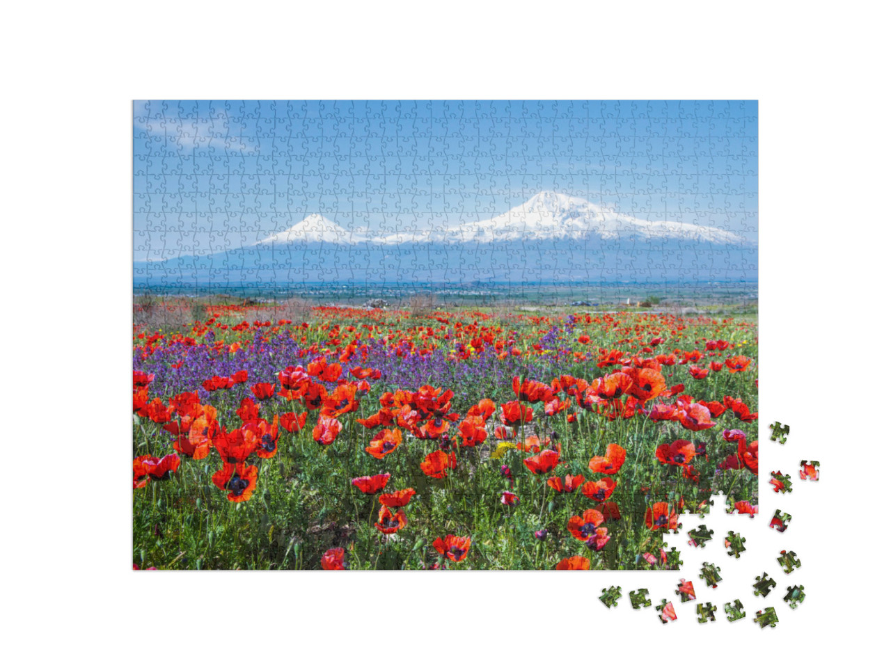 Mount Ararat Turkey At 5, 137 M Viewed from Yerevan, Arme... Jigsaw Puzzle with 1000 pieces