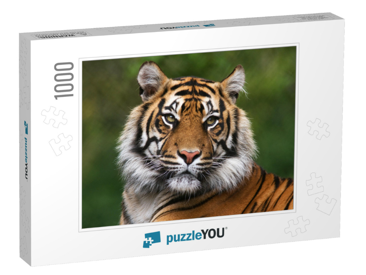 Tiger, Portrait of a Bengal Tiger... Jigsaw Puzzle with 1000 pieces