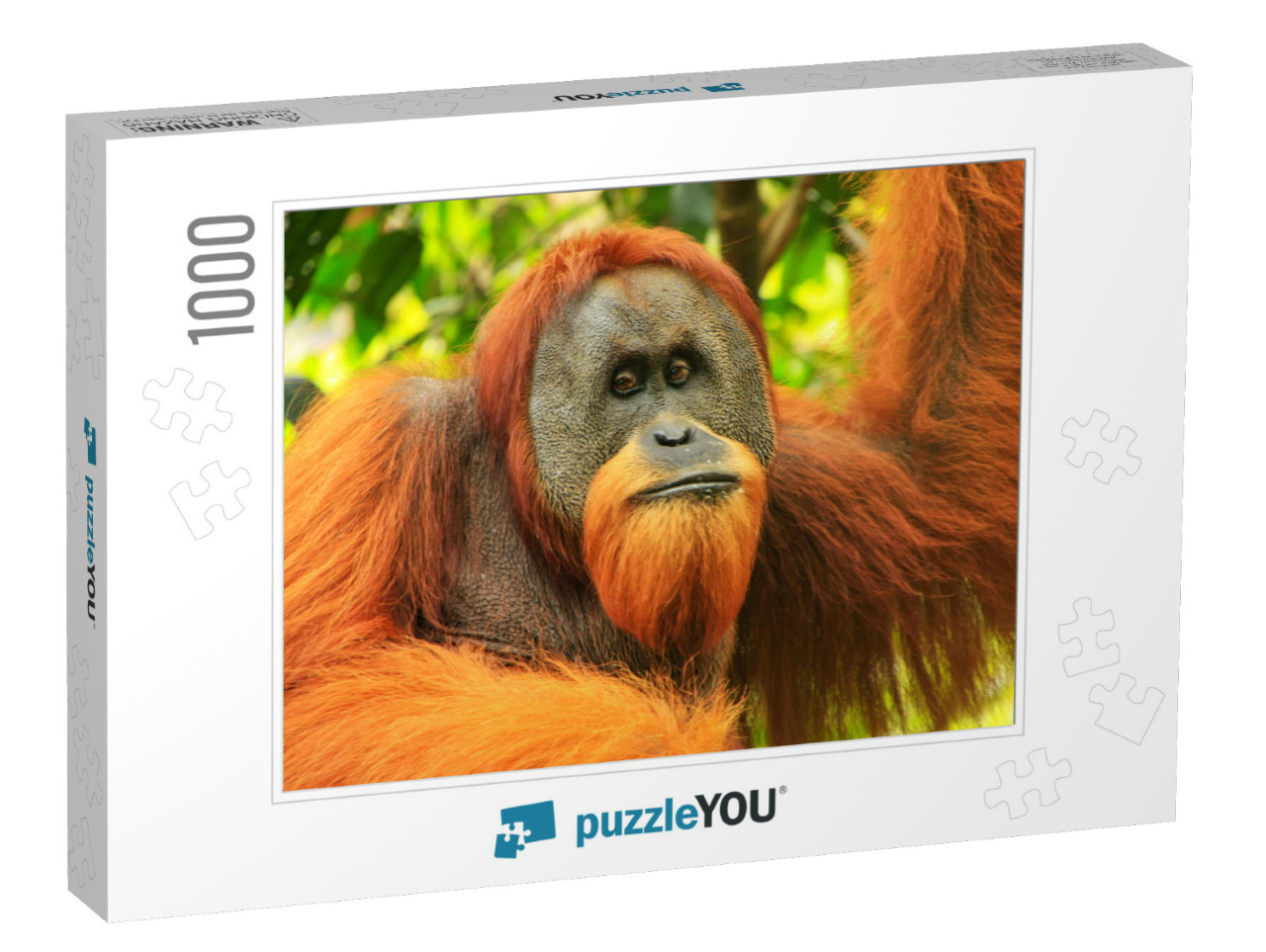 Portrait of Male Sumatran Orangutan Pongo Abelii in Gunun... Jigsaw Puzzle with 1000 pieces