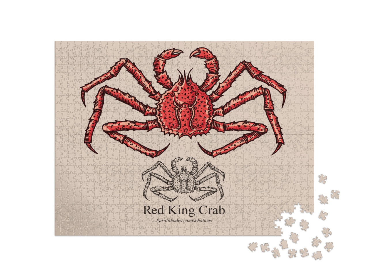 Red King Crab. Vector Illustration with Refined De... Jigsaw Puzzle with 1000 pieces