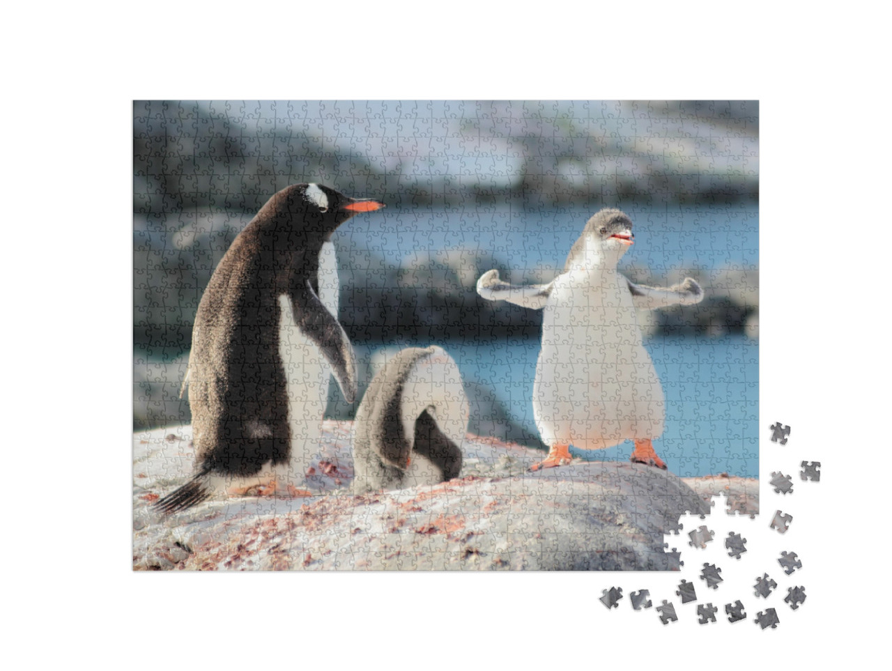 Strongest Gentoo Penguin Cute Funny Baby Chick Mummy Mom... Jigsaw Puzzle with 1000 pieces