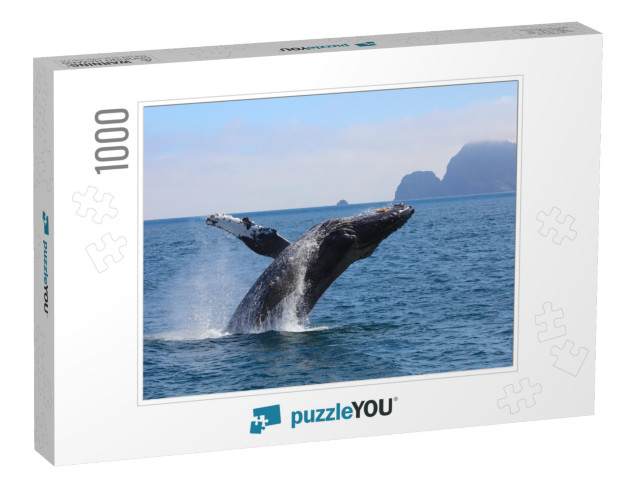 Humpback Whale Breaching Kenai Fjords National Park Alask... Jigsaw Puzzle with 1000 pieces