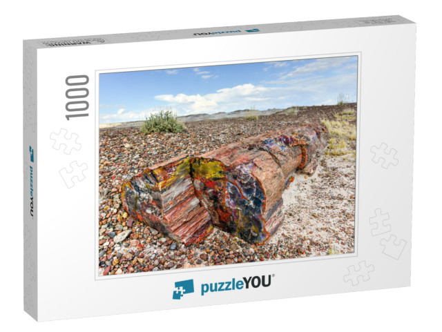 The Crystal Forest in the Petrified Forest National Park... Jigsaw Puzzle with 1000 pieces