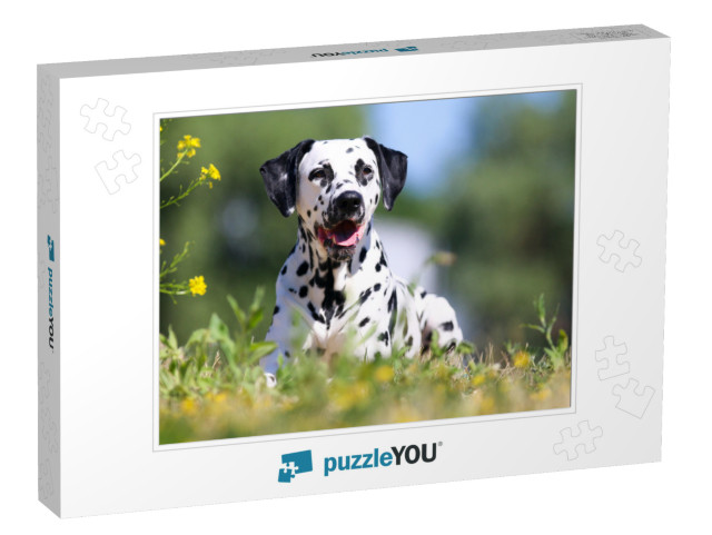 Summer Portrait of Cute Dalmatian Dog with Black Spots. S... Jigsaw Puzzle