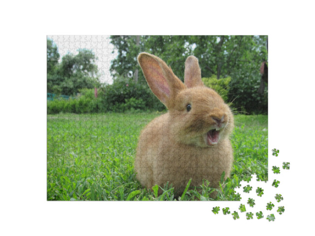 Red Rabbit on Green Grass. Home Decorative Rabbit Outdoor... Jigsaw Puzzle with 1000 pieces