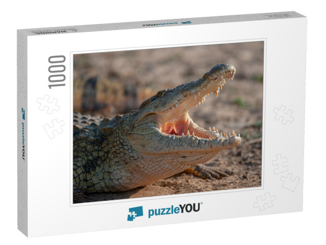 A Nile Crocodile Seen on a Safari in South Africa... Jigsaw Puzzle with 1000 pieces