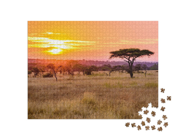 Sunset in Savannah of Africa with Acacia Trees, Safari in... Jigsaw Puzzle with 1000 pieces