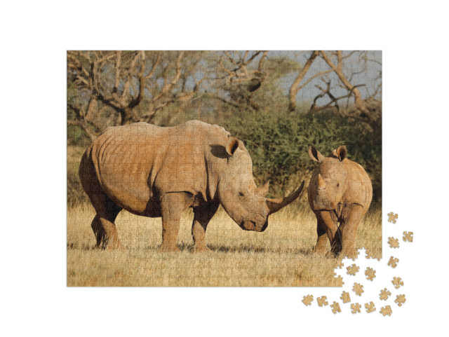 White Rhinoceros Ceratotherium Simum with Calf in Natural... Jigsaw Puzzle with 1000 pieces