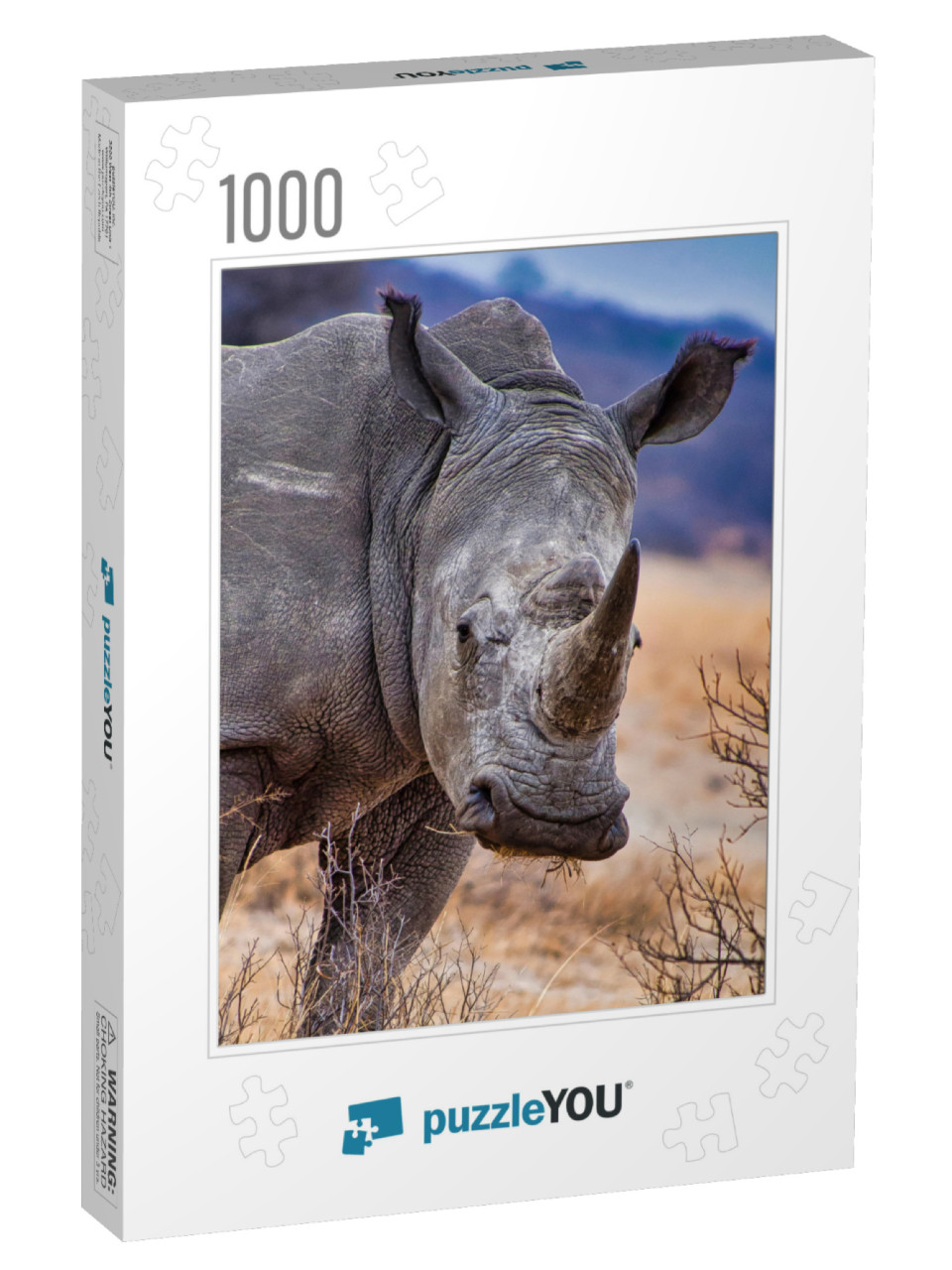 White Rhinoceros, Khama Rhino Sanctuary, Botswana... Jigsaw Puzzle with 1000 pieces