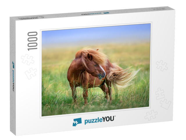 Pony with Long Mane & Tail Standing in Green Grass... Jigsaw Puzzle with 1000 pieces