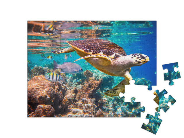 Hawksbill Turtle - Eretmochelys Imbricata Floats Under Wa... Jigsaw Puzzle with 48 pieces