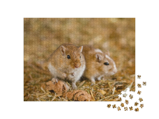 Mongolian Gerbils Meriones as Pet... Jigsaw Puzzle with 1000 pieces