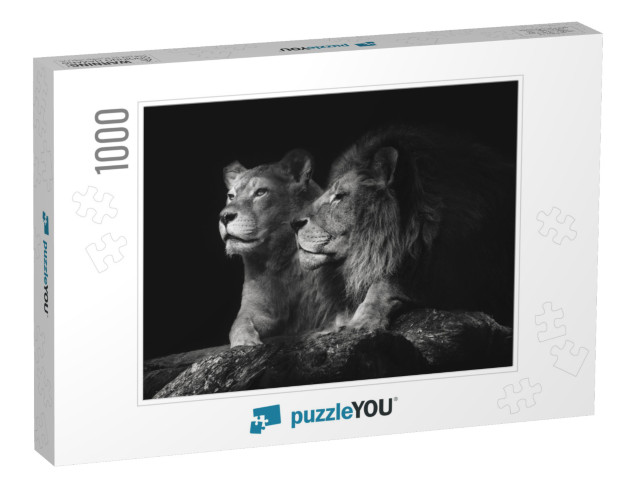 Portrait of a Sitting Lions Couple Close-Up on an Isolate... Jigsaw Puzzle with 1000 pieces