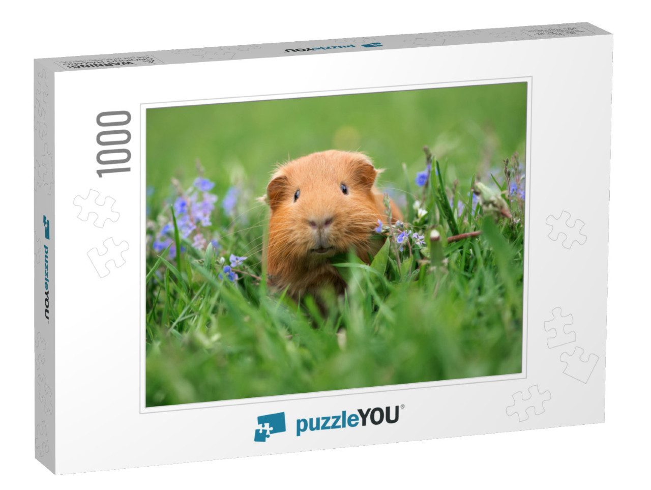 Adorable Guinea Pig Posing on Grass... Jigsaw Puzzle with 1000 pieces