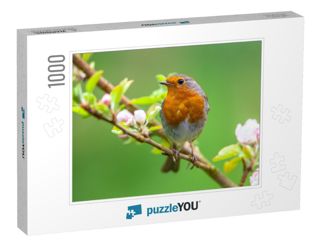 A Red Robin Erithacus Rubecula in Between White Fruit Blo... Jigsaw Puzzle with 1000 pieces