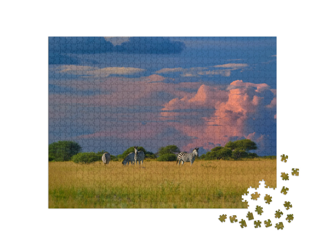 African Landscape. Herd of Plains Zebra, Equus Quagga, St... Jigsaw Puzzle with 1000 pieces