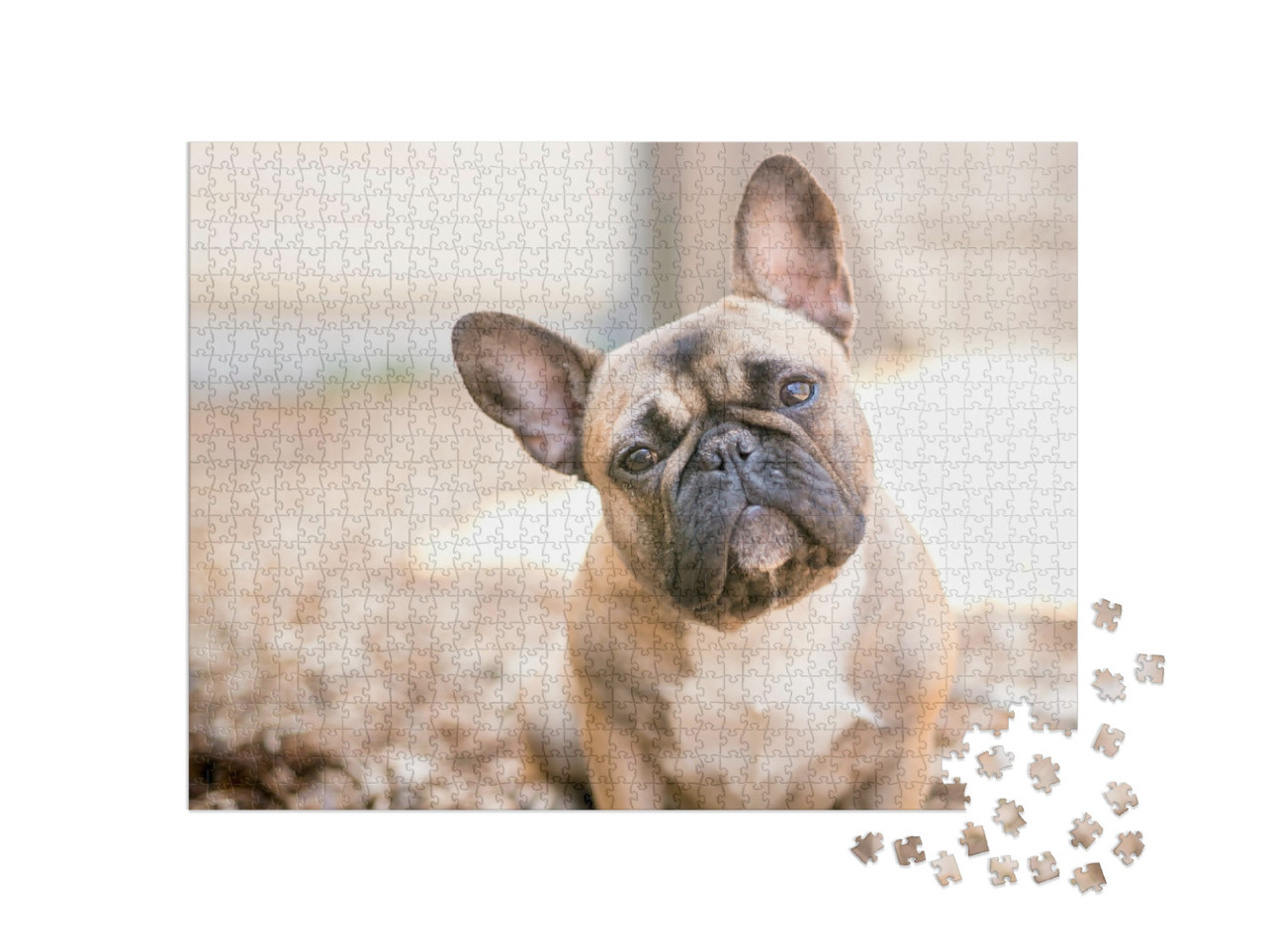 A Cute Fawn Colored French Bulldog... Jigsaw Puzzle with 1000 pieces