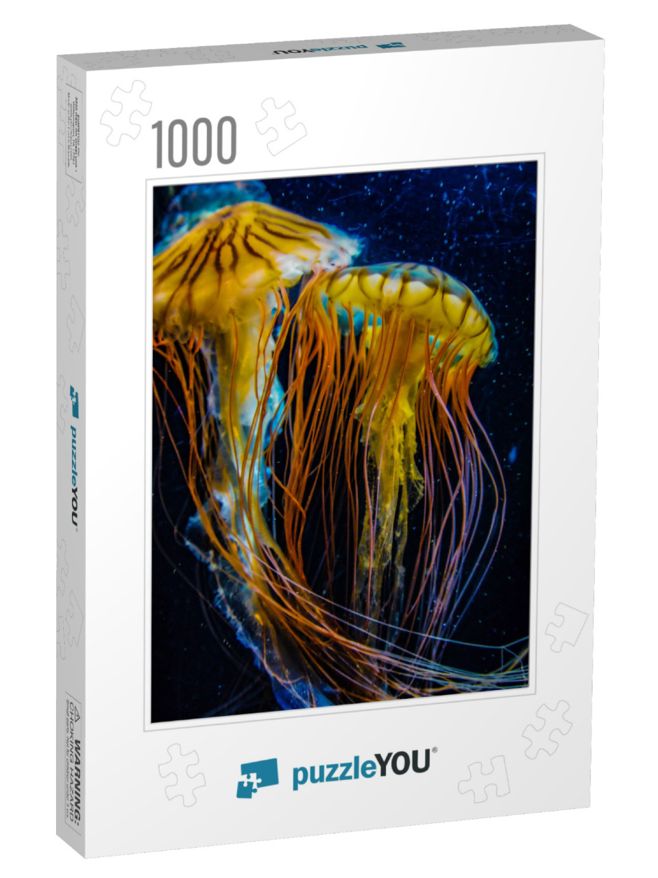 Image of Jellyfish Poison Jellyfish... Jigsaw Puzzle with 1000 pieces