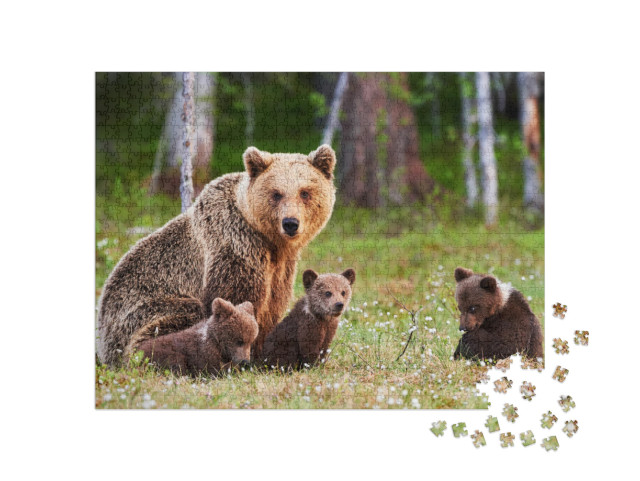 Brown Mother Bear Protecting Her Cubs in a Finnish Forest... Jigsaw Puzzle with 1000 pieces