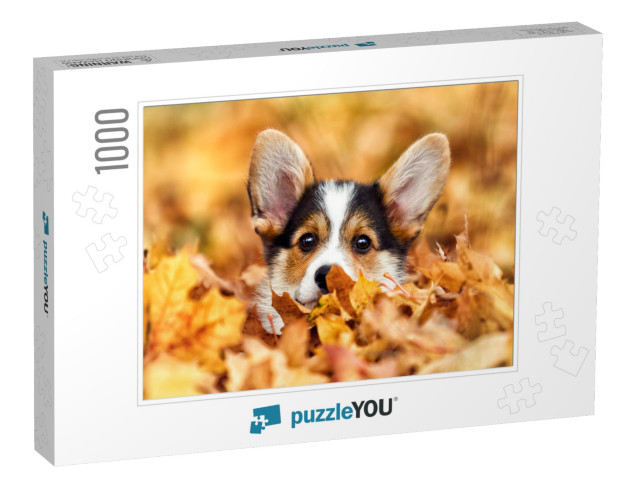 Welsh Corgi Puppy in Autumn Leaves... Jigsaw Puzzle with 1000 pieces