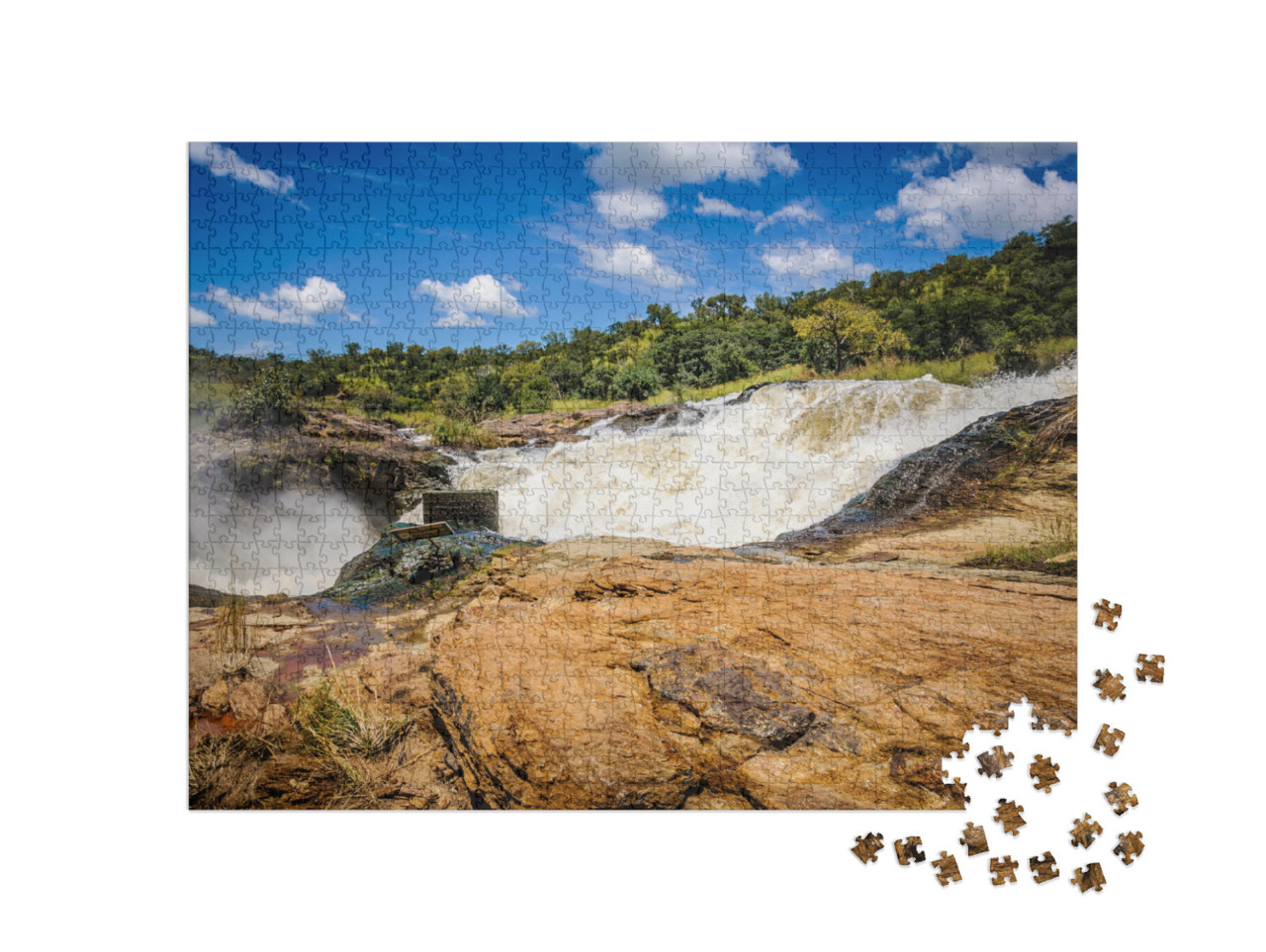 Pictorial Views of Nature & Wildlife Taken from Murchison... Jigsaw Puzzle with 1000 pieces