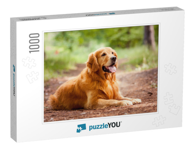 Portrait of a Dog... Jigsaw Puzzle with 1000 pieces