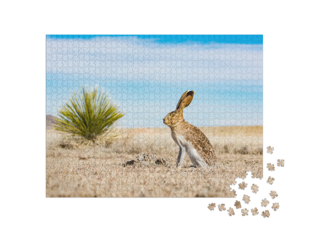 White-Sided Jack Rabbit... Jigsaw Puzzle with 1000 pieces