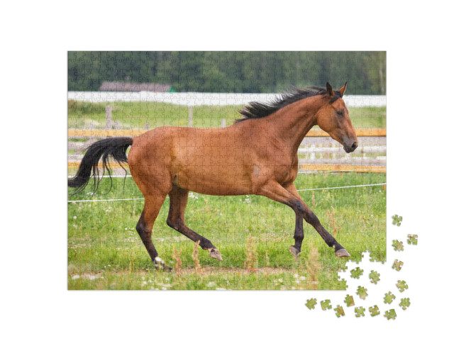 Horse Walking on Grass Field... Jigsaw Puzzle with 1000 pieces