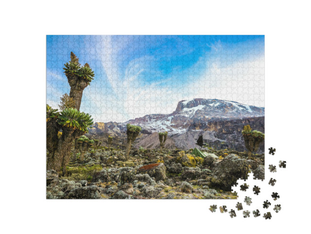 Camping on Mount Kilimanjaro in Tents to See the Glaciers... Jigsaw Puzzle with 1000 pieces